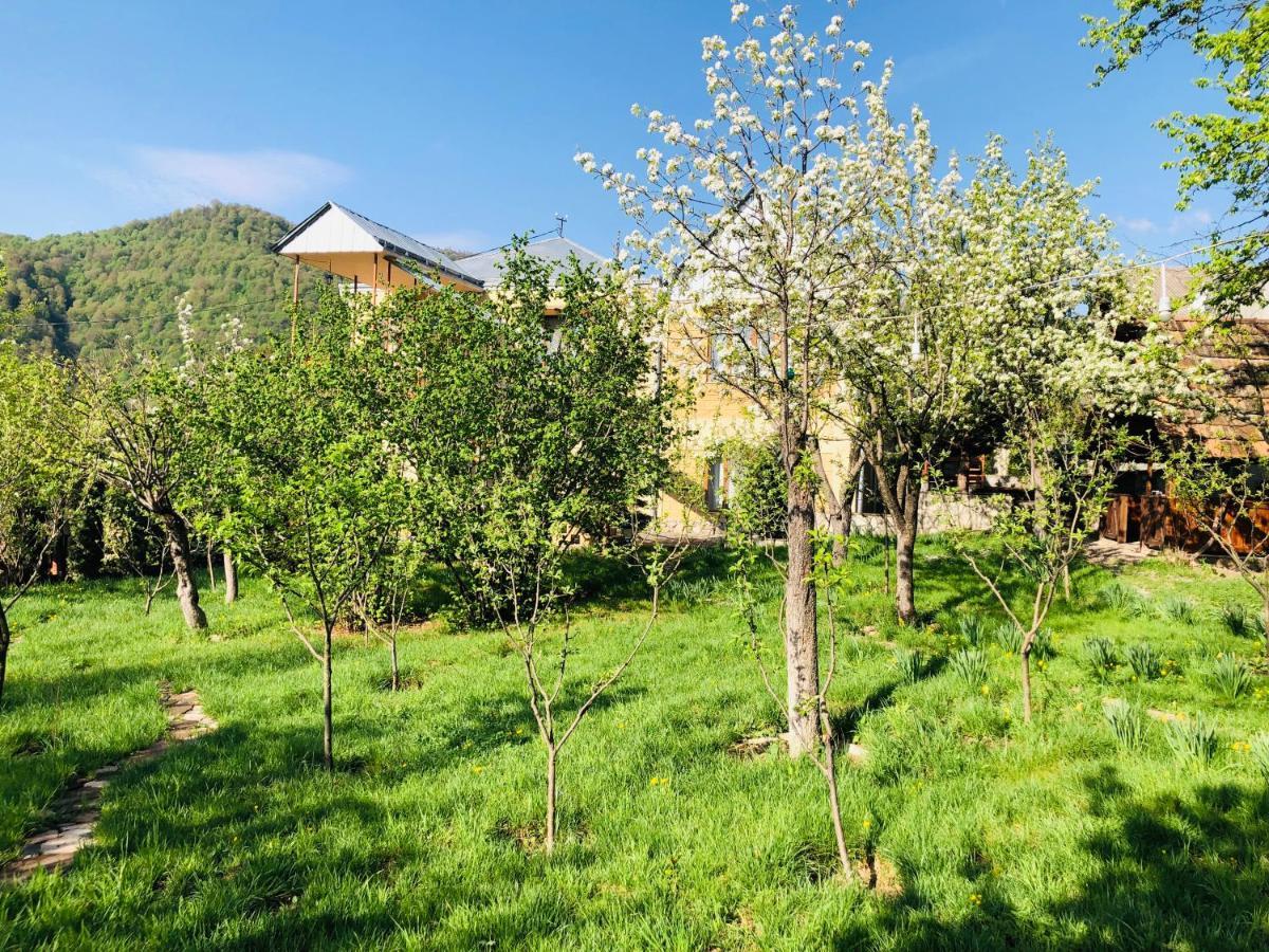 Dil Hill By Sam Dilijan Exterior foto